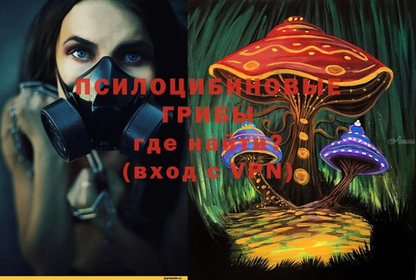 стафф Гусь-Хрустальный