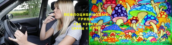 соль ск Горно-Алтайск