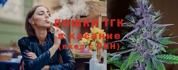 стафф Гусь-Хрустальный