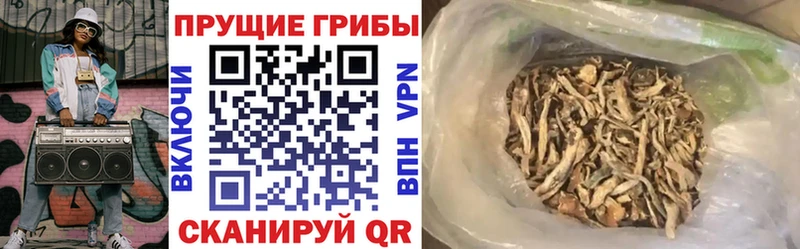 Галлюциногенные грибы Psilocybe Жуков
